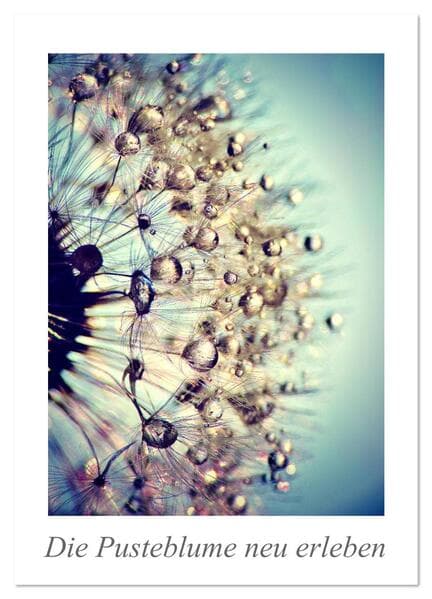 Die Pusteblume neu erleben (Wandkalender 2026 DIN A3 hoch), CALVENDO Monatskalender