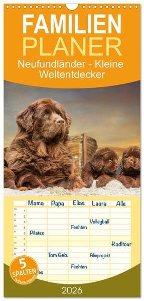 Familienplaner 2026 - Neufundländer - Kleine Weltentdecker mit 5 Spalten (Wandkalender, 21 x 45 cm) CALVENDO