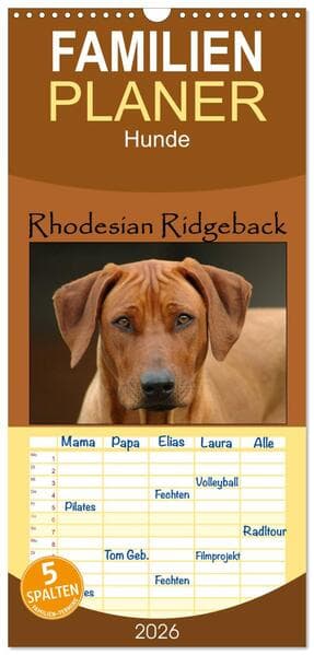 Familienplaner 2026 - Rhodesian Ridgeback Terminkalender mit 5 Spalten (Wandkalender, 21 x 45 cm) CALVENDO