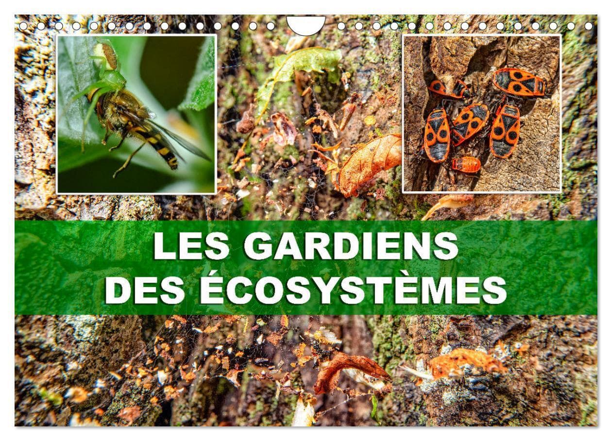 Les gardiens des écosystèmes (Calendrier mural 2026 DIN A4 vertical), CALVENDO calendrier mensuel