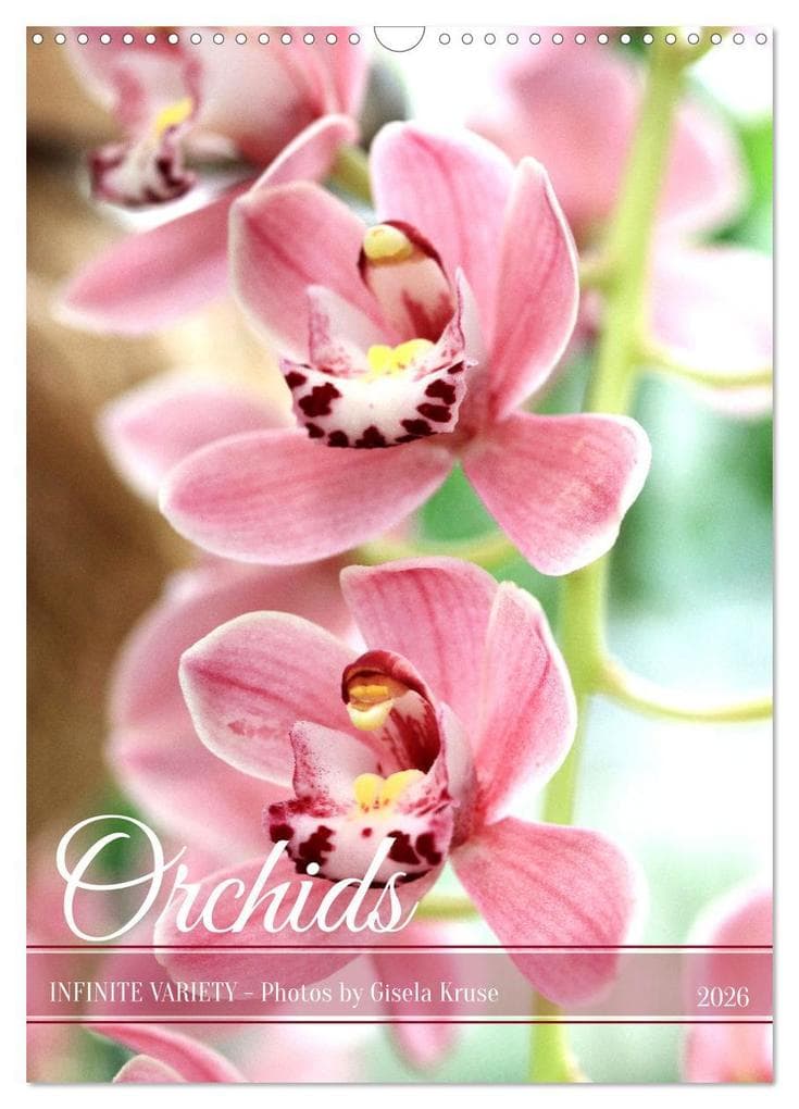Orchids - Infinite Variety (Wall Calendar 2026 DIN A3 portrait), CALVENDO 12 Month Wall Calendar