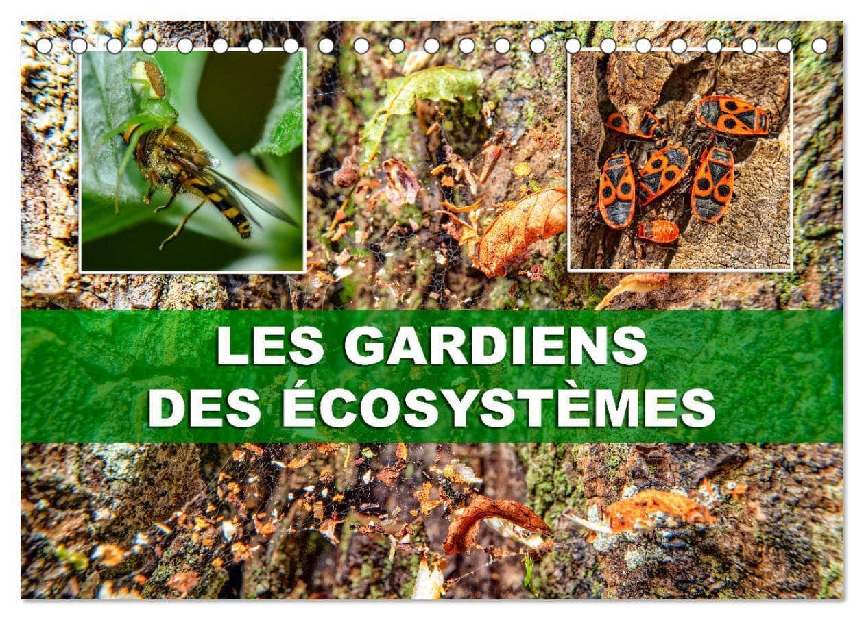 Les gardiens des écosystèmes (Calendrier de bureau 2026 DIN A5 vertical), CALVENDO calendrier mensuel