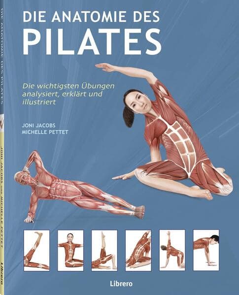 Die Anatomie des Pilates