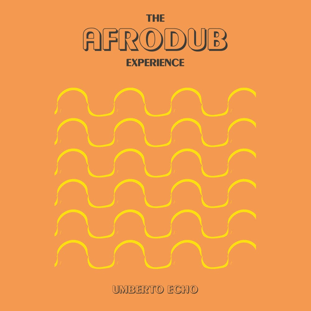 The Afrodub Experience (180g Black Vinyl)