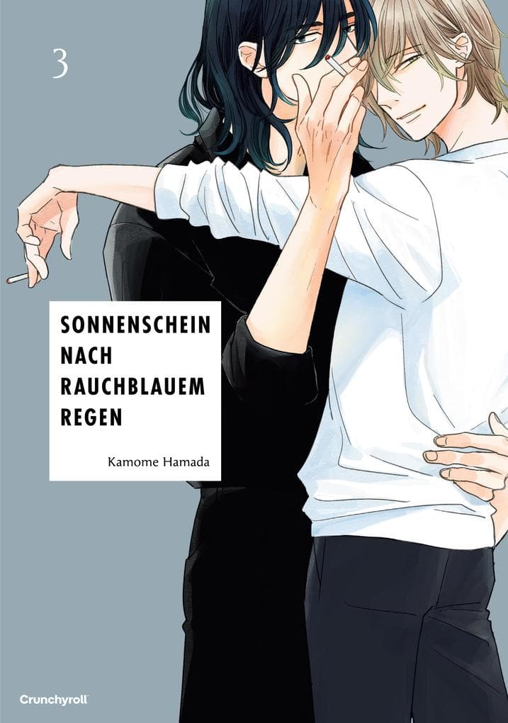 Sonnenschein nach rauchblauem Regen - Band 3