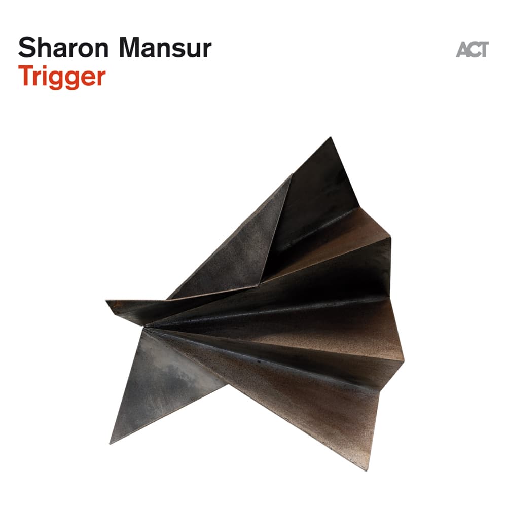 Trigger,1 Schallplatte (180g Black Vinyl)
