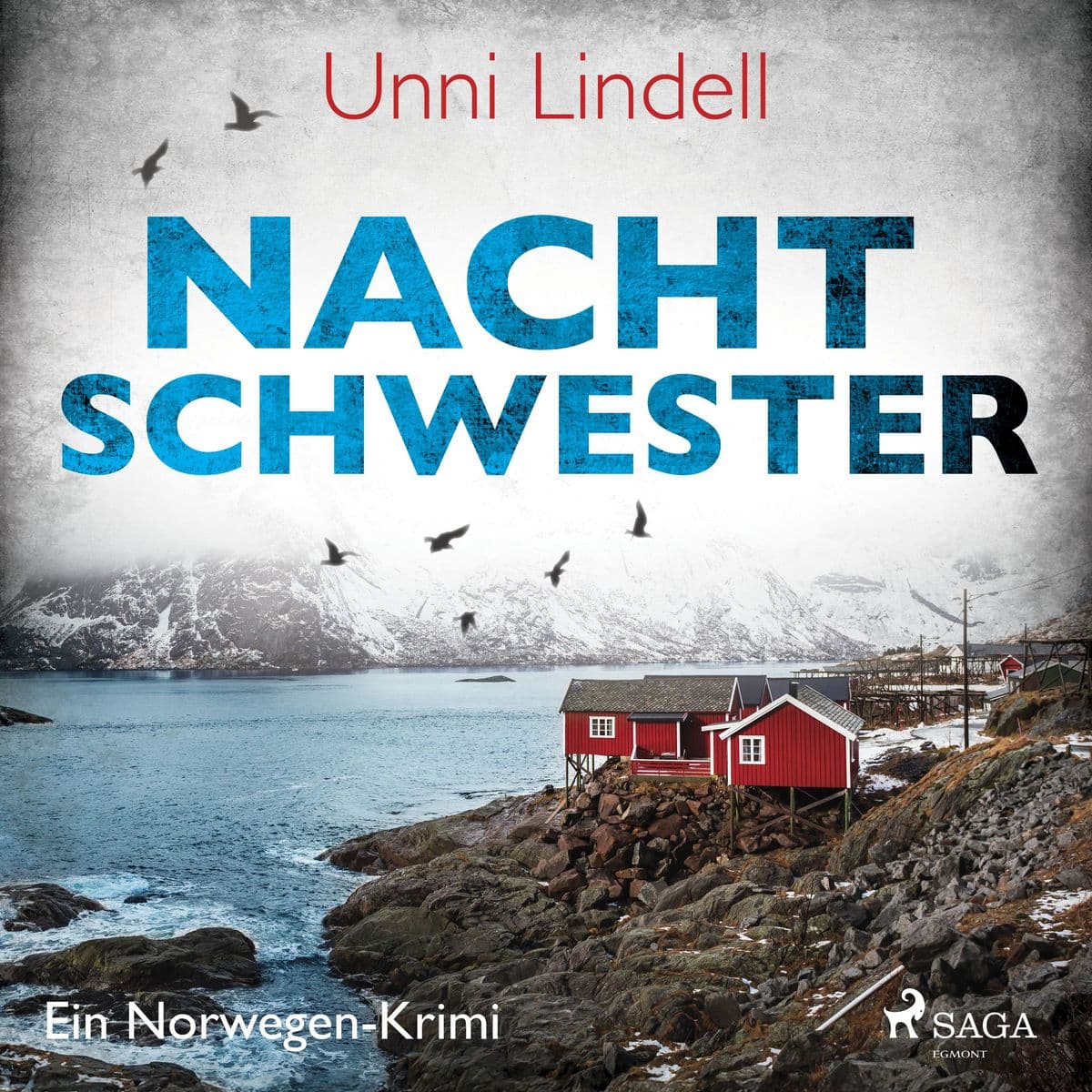 Nachtschwester Ein NorwegenKrimi