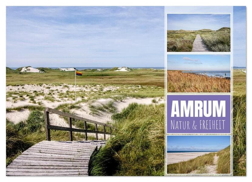 Amrum: Natur und Freiheit (Wandkalender 2026 DIN A3 quer), CALVENDO Monatskalender