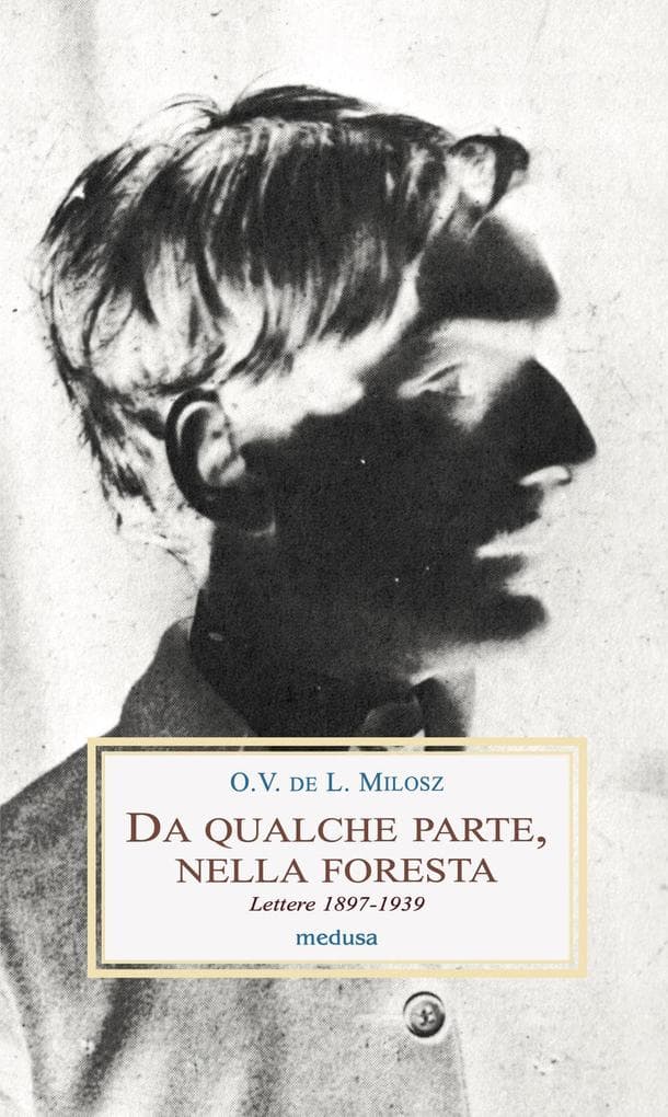 Da qualche parte, nella foresta. Lettere 1897-1939