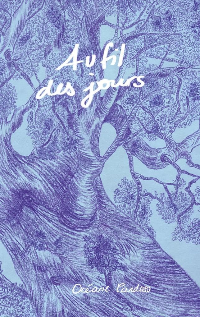 Au Fil Des Jours
