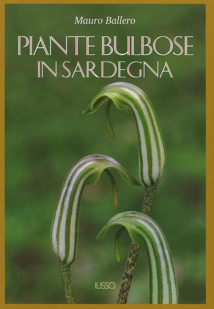 Piante bulbose in Sardegna