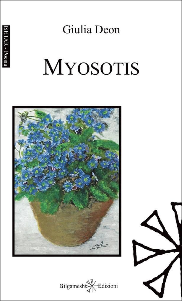 Myosotis