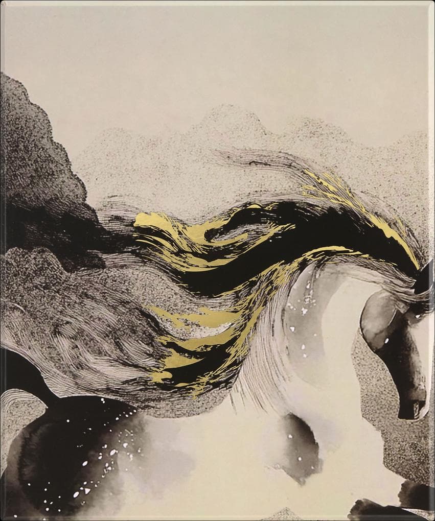 Moleskine Das Jahr des Pferdes Kreativset