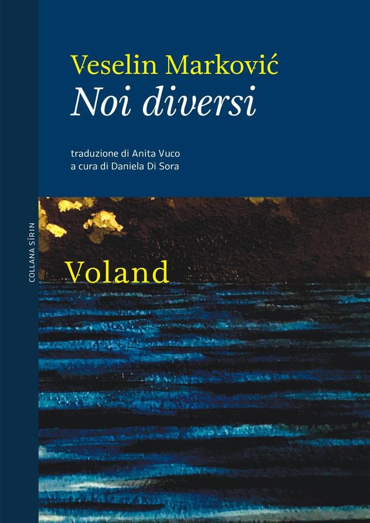 Noi diversi