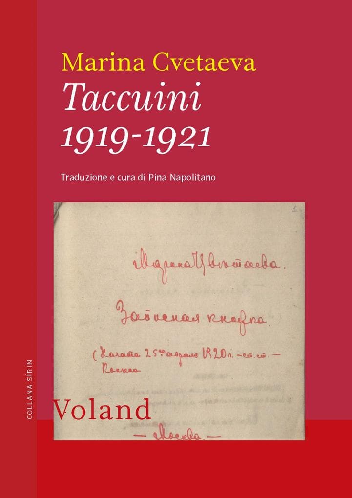 Taccuini 1919-1921