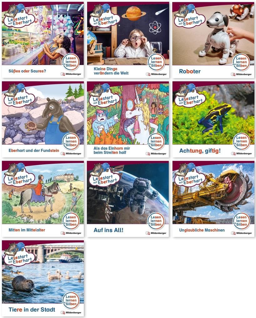 Paket - Lesestart mit Eberhart, Lesestufe 5: Komplettbezug Heft 91-100