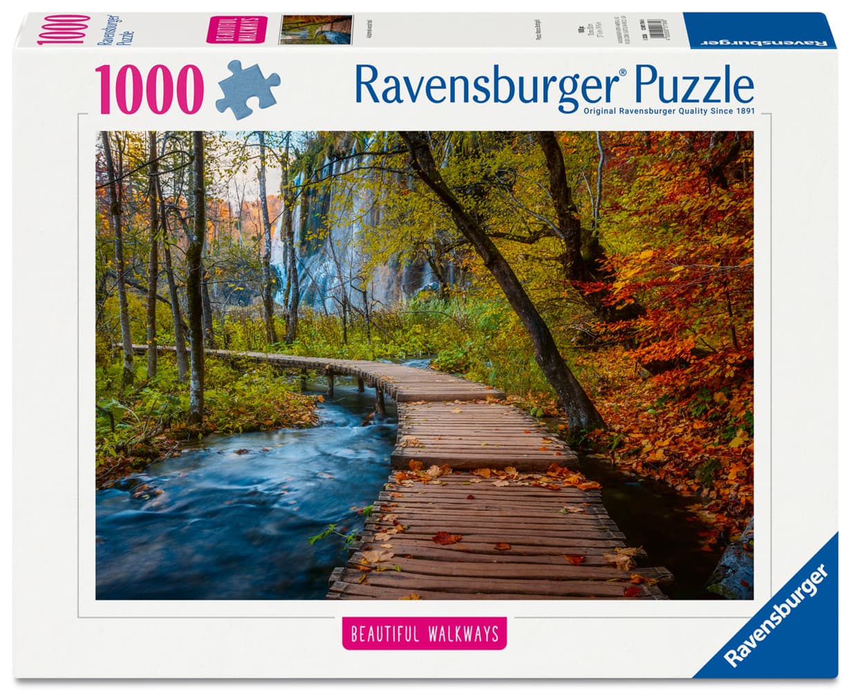 Erwachsenenpuzzle 1000 Teile - Herbstlicher Waldweg
