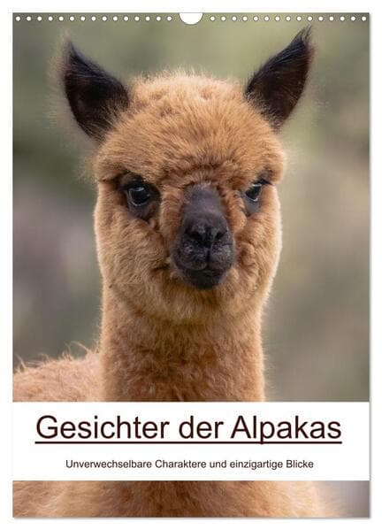 Gesichter der Alpakas - Unverwechselbare Charaktere und einzigartige Blicke (Wandkalender 2026 DIN A3 hoch), CALVENDO Monatskalender