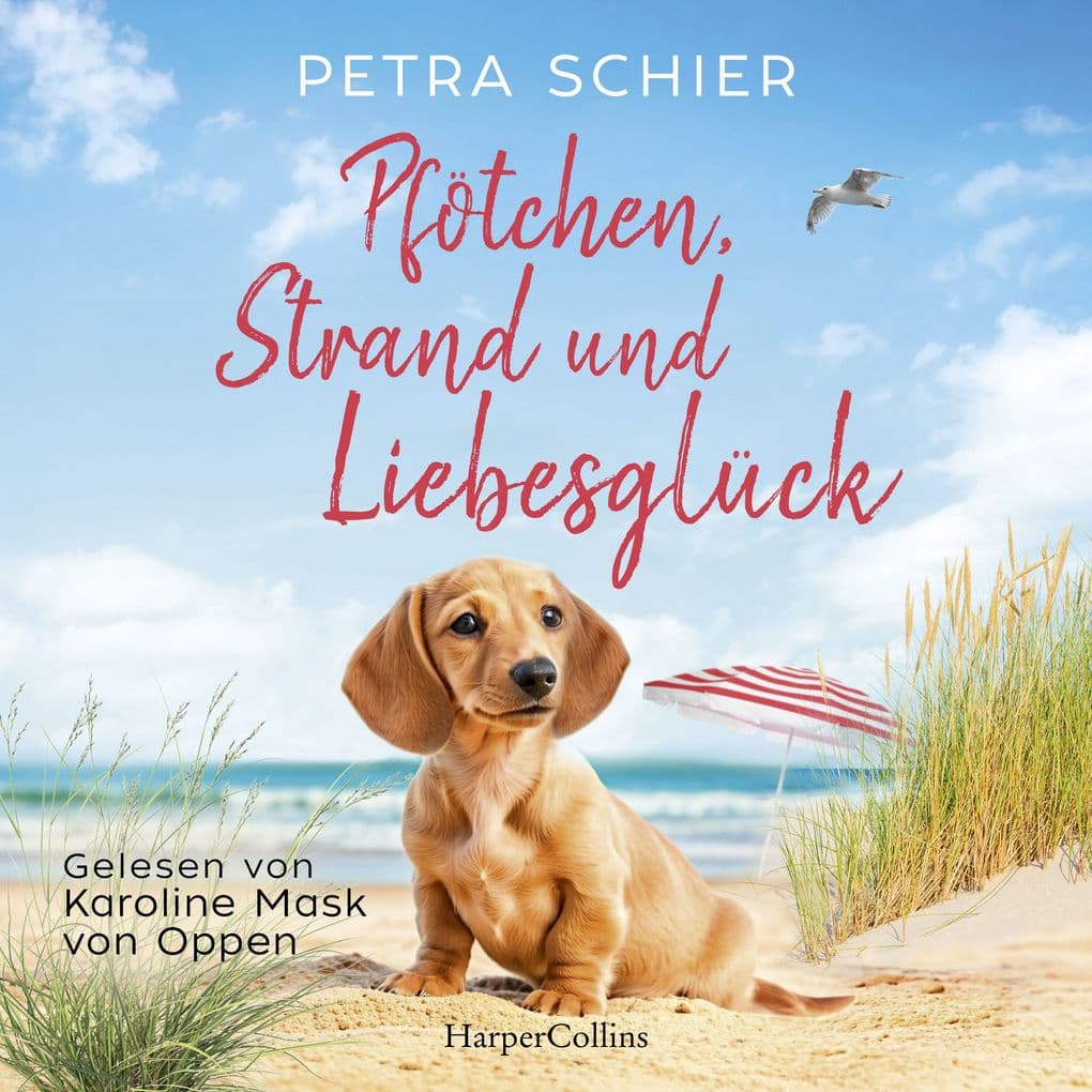 Pfötchen, Strand und Liebesglück