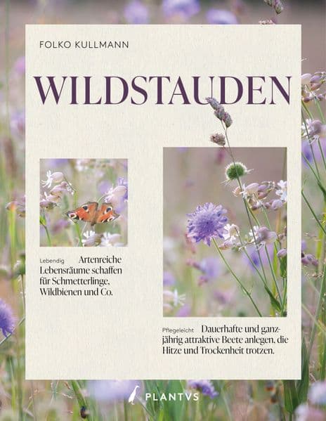 Wildstauden