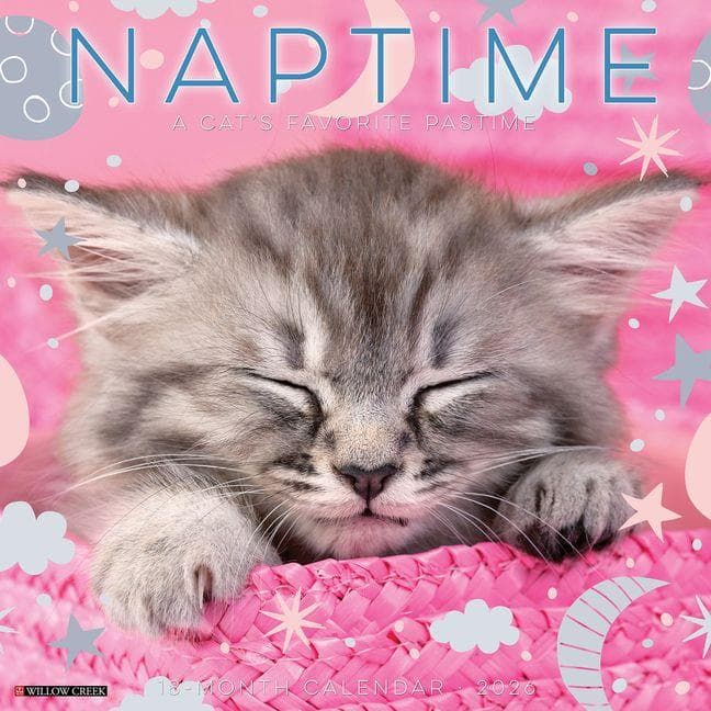 Naptime: A Cat's Favorite Pastime 2026 Wall Calendar