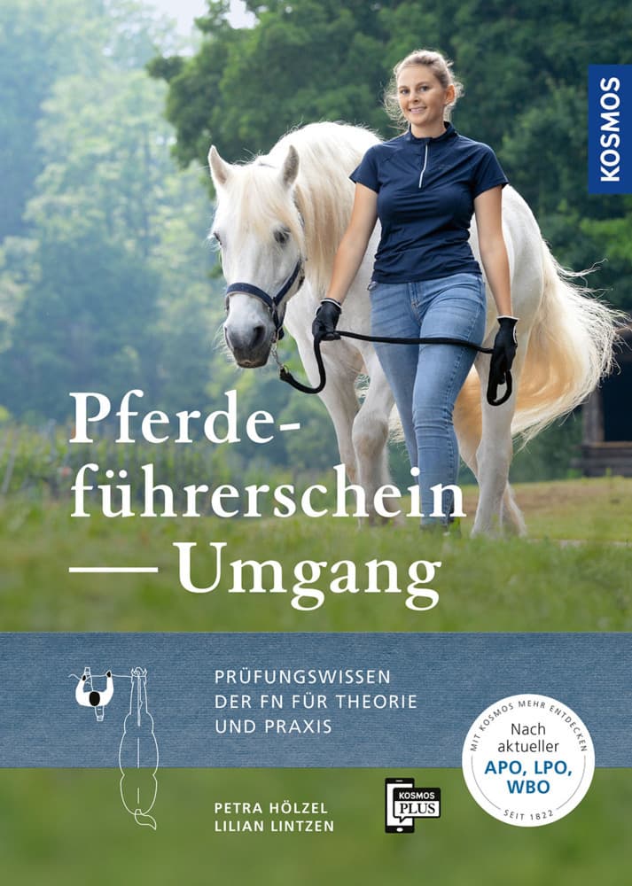 Pferdeführerschein Umgang