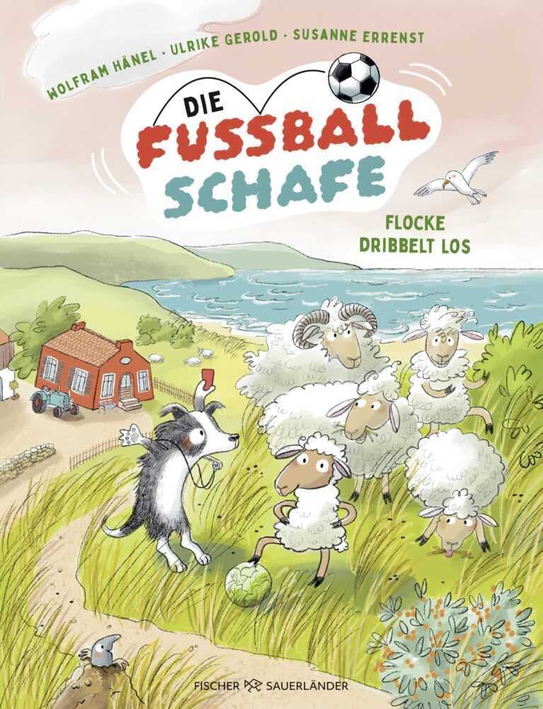 Die Fußballschafe