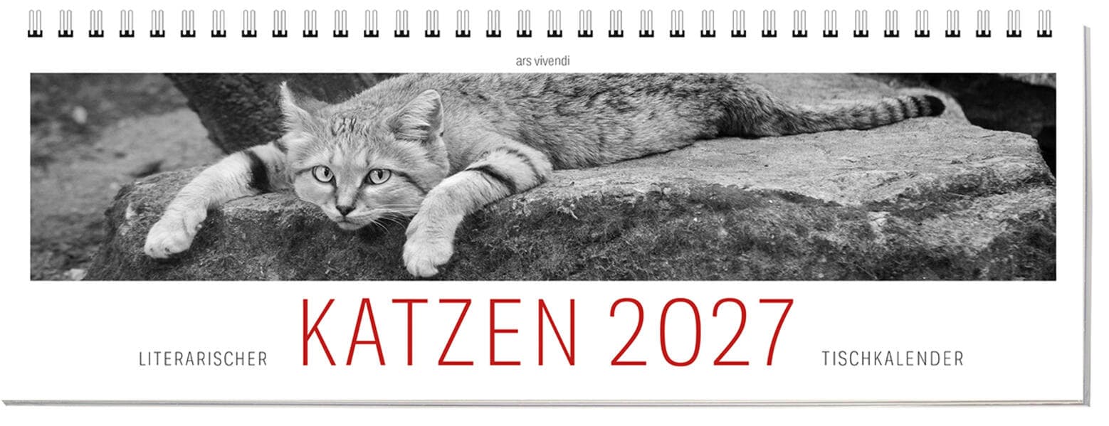 Tischkalender Katzen 2027