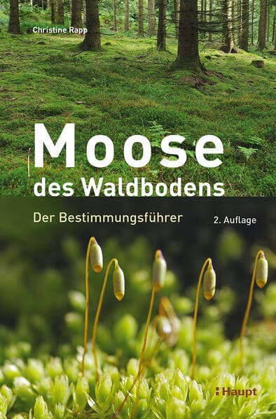 Moose des Waldbodens