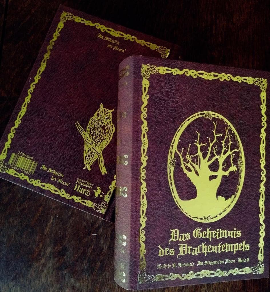 Im Schatten der Hexen VIII