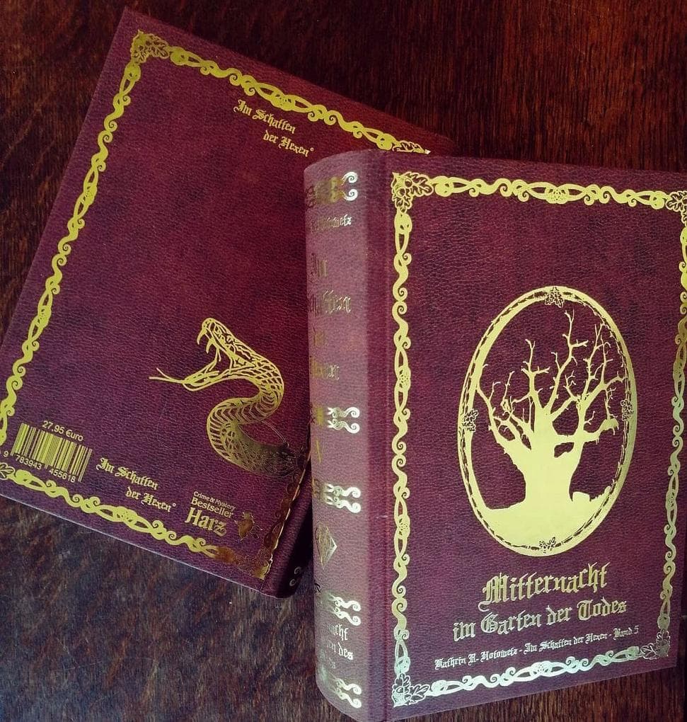 Im Schatten der Hexen V