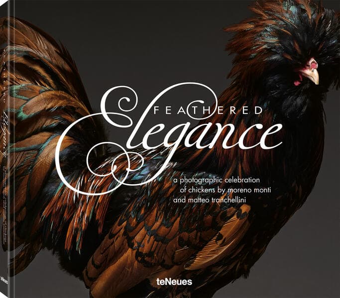 Feathered Elegance