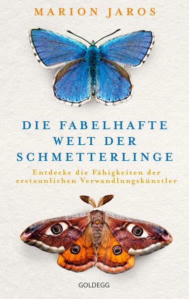 Die fabelhafte Welt der Schmetterlinge