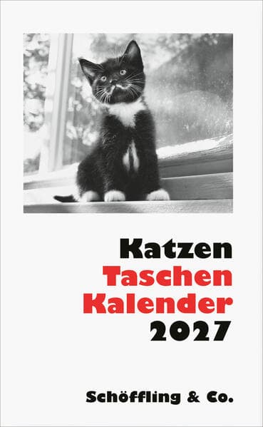 Katzen Taschenkalender 2027