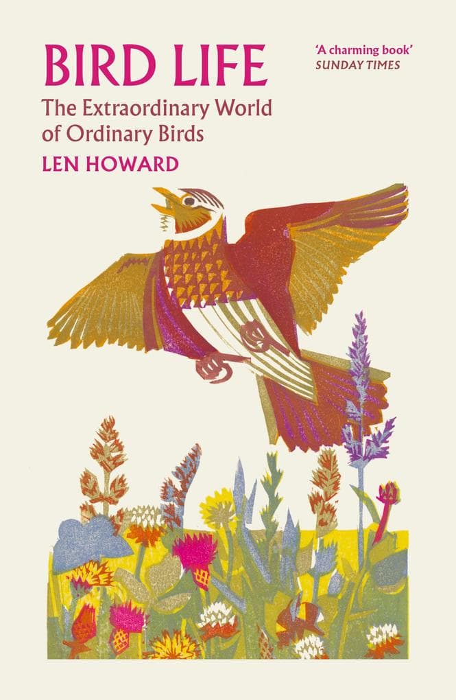 Bird Life