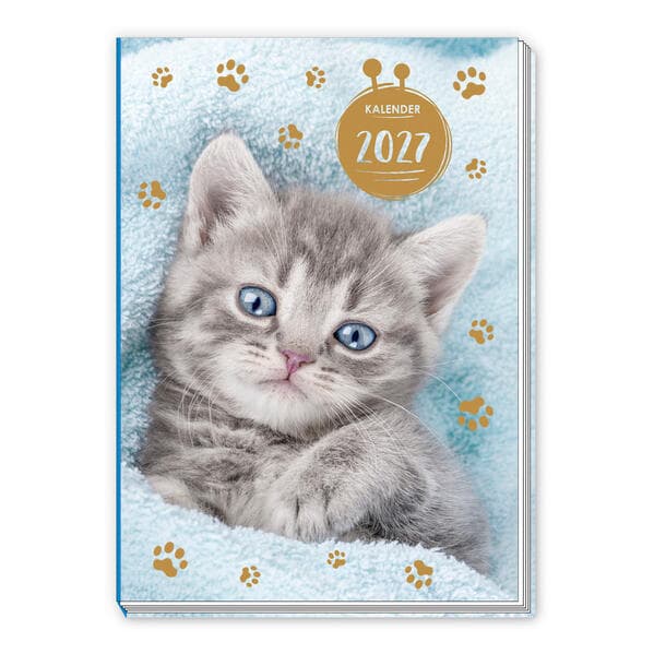 TRÖTSCH - Taschenkalender A7 Katze 2027