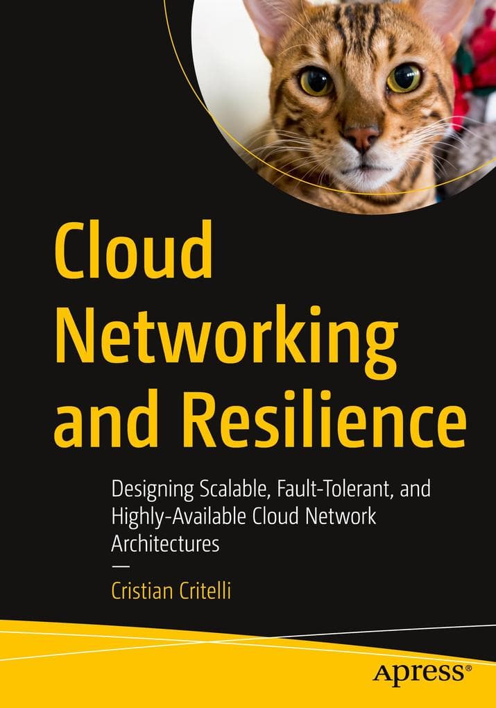 Cloud Networking and Resilience