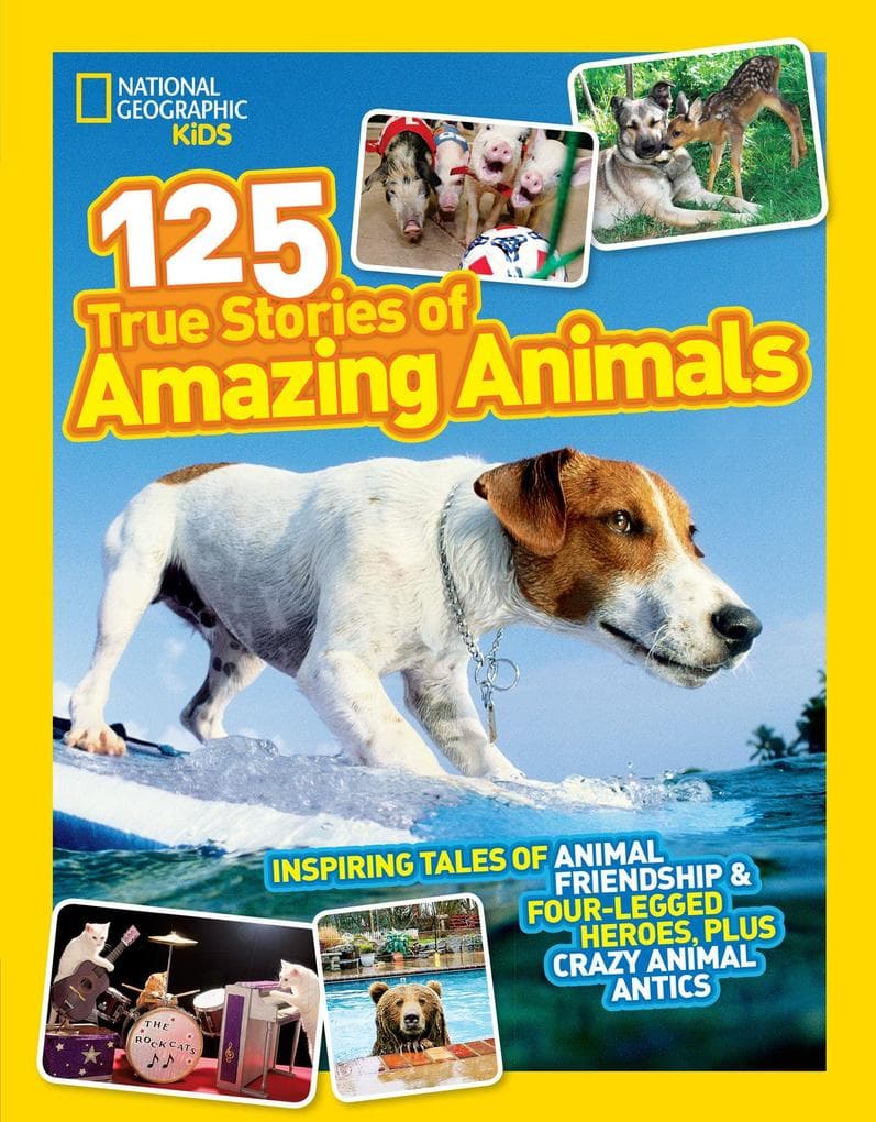 125 TRUE STORI_NATIONAL IE PB