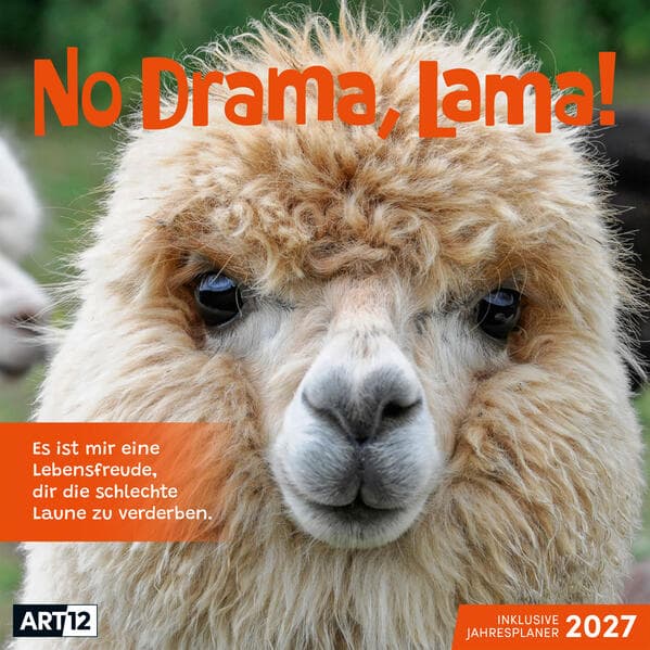 No Drama, Lama Kalender 2027 - 30x30 - Art12