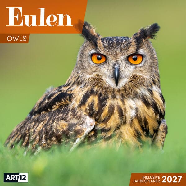 Eulen Kalender 2027 - 30x30 - Art12