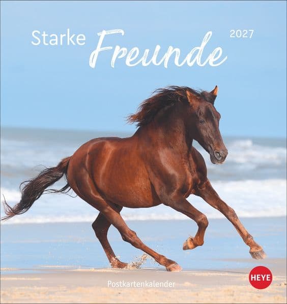 Pferde Postkartenkalender 2027 - Starke Freunde