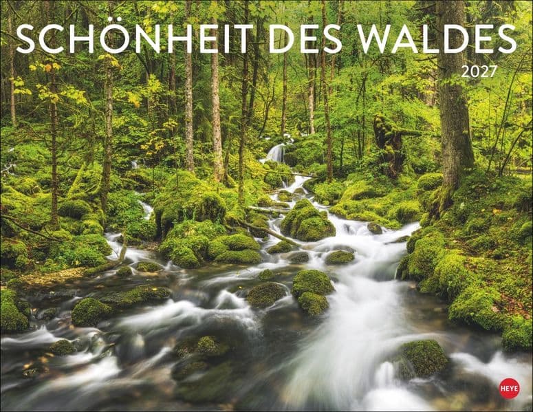 Schönheit des Waldes Posterkalender 2027