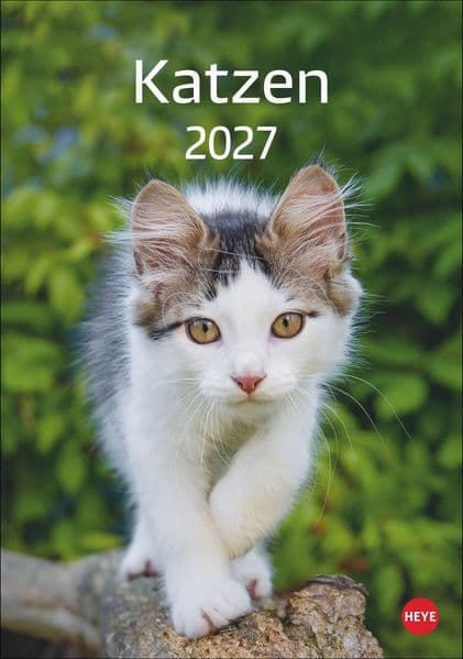 Katzen Kalender 2027
