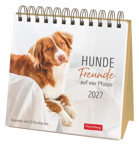 Hunde Premium-Postkartenkalender 2027 - Freunde auf vier Pfoten; Kalender mit 53 Postkarten