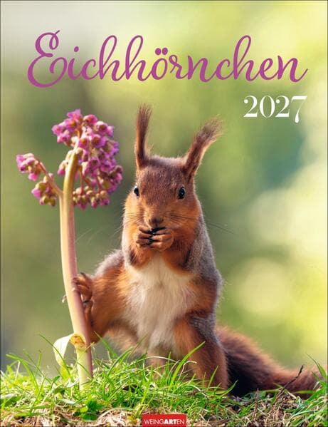Eichhörnchen Kalender 2027