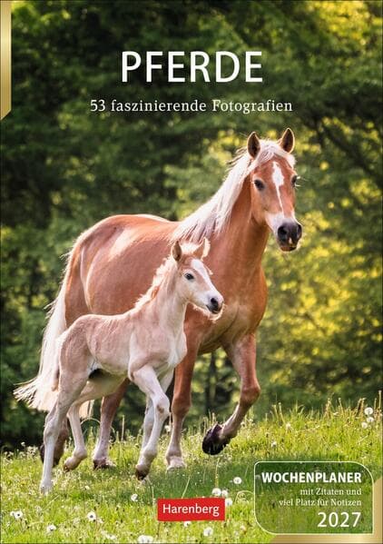 Pferde Wochenplaner 2027 - 53 faszinierende Fotografien