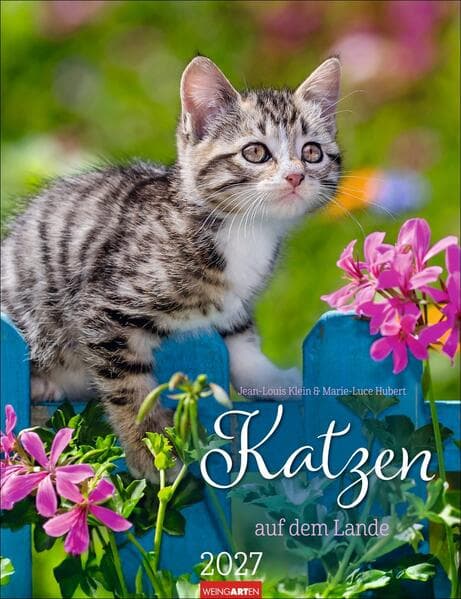 Katzen auf dem Lande Kalender 2027