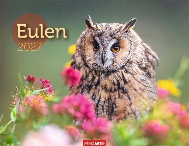 Eulen Kalender 2027