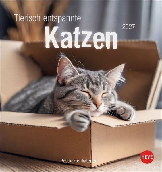Tierisch entspannte Katzen Postkartenkalender 2027