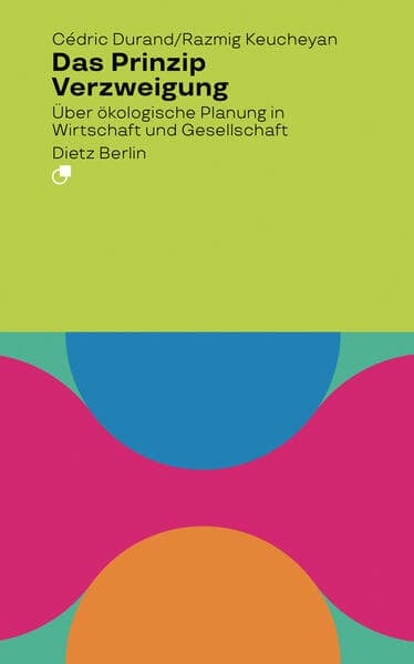 Das Prinzip Verzweigung